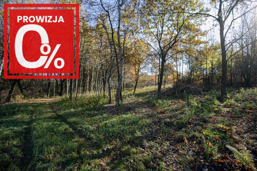 Działka budowlana- Koszyce Wielkie miniaturka 5