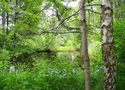 Tani dom ze stawami i lasem Rększowice miniaturka 13
