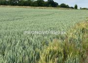 Działka budowlana w Borkowicach, blisko Obornik Ś miniaturka 5