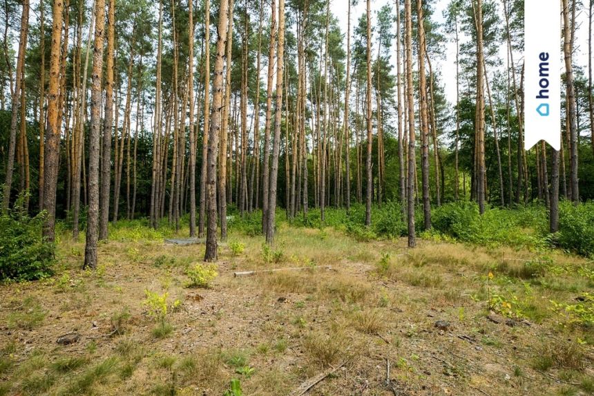 Wyjątkowa  - nad rzeką Świder z warunkami zabudowy miniaturka 10