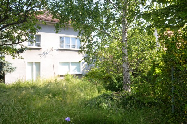 Orłowo - dom wolnostojąc do remontu na sprzedaż 2. - zdjęcie 1