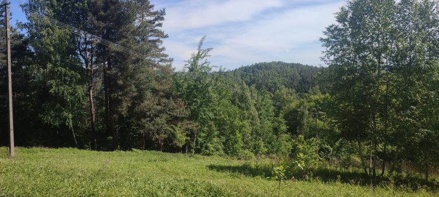 Działka budowlana- Tropie- Gródek nad Dunajcem miniaturka 9