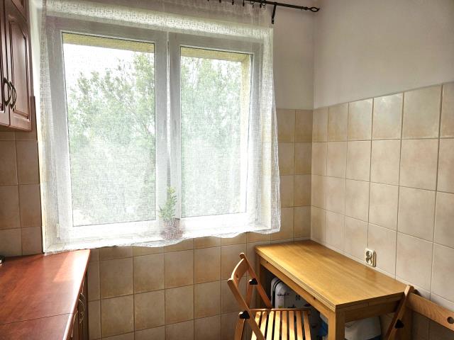Słoneczne, zieleń wokół miniaturka 5
