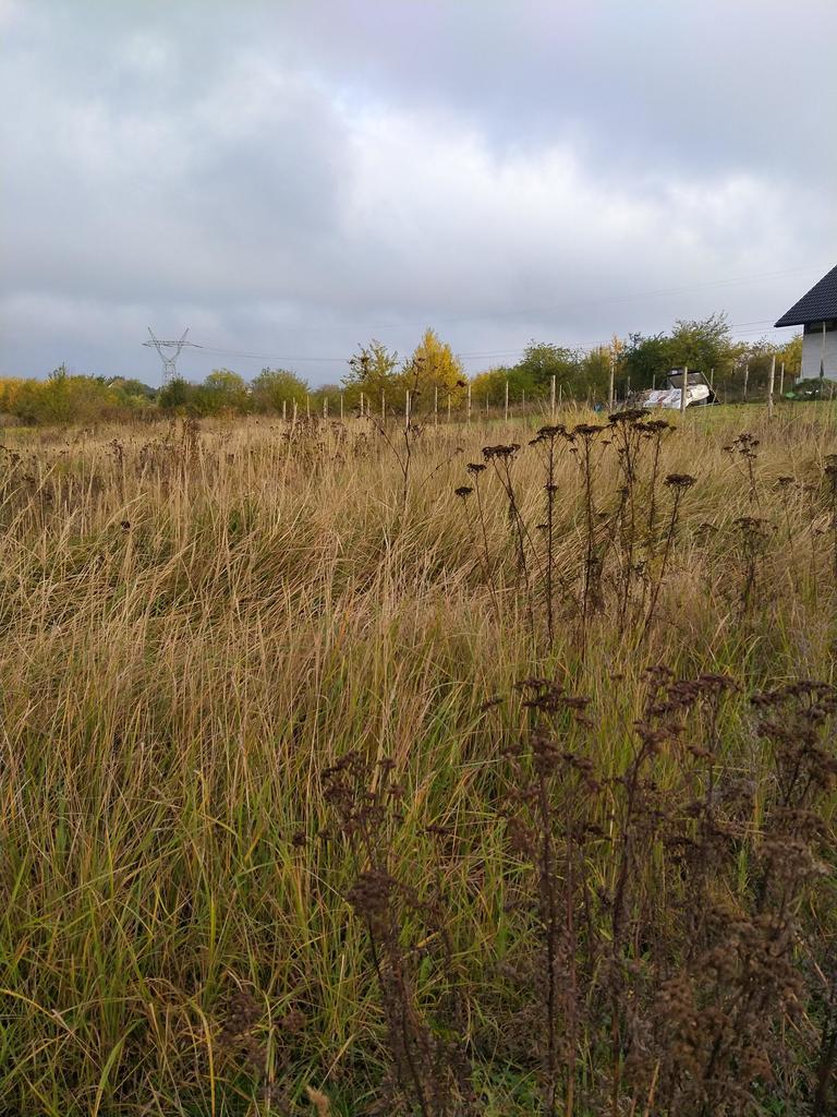 Mierzyn, 280 000 zł, 15.47 ar, droga dojazdowa utwardzona miniaturka 3