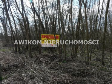 Puszcza Mariańska, 220 000 zł, 43.5 ar, woda w drodze