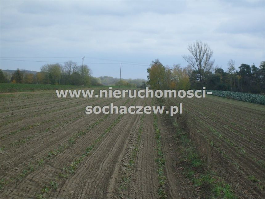 MPZP: PU,MNU,MN,R Wyszogród miniaturka 2