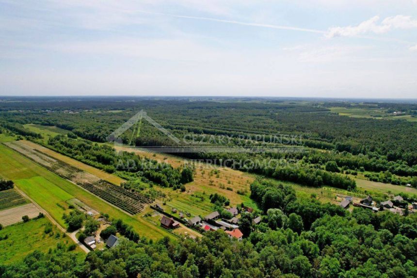 Kazimierz Dolny 2ha lasu i siedlisko NowaCena miniaturka 9