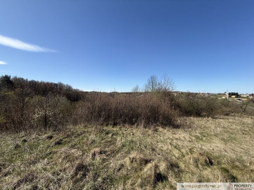 Działka widokowa 26.5 ar, Stasiówka, Dębica miniaturka 7