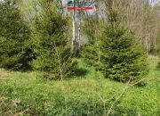 Śmiłowo, 127 000 zł, 27.45 ar, rekreacyjna miniaturka 14