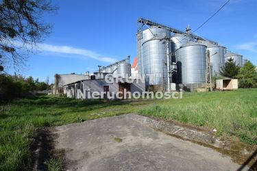 Ujście Ujście-Łęg 389 000 zł 25.55 ar