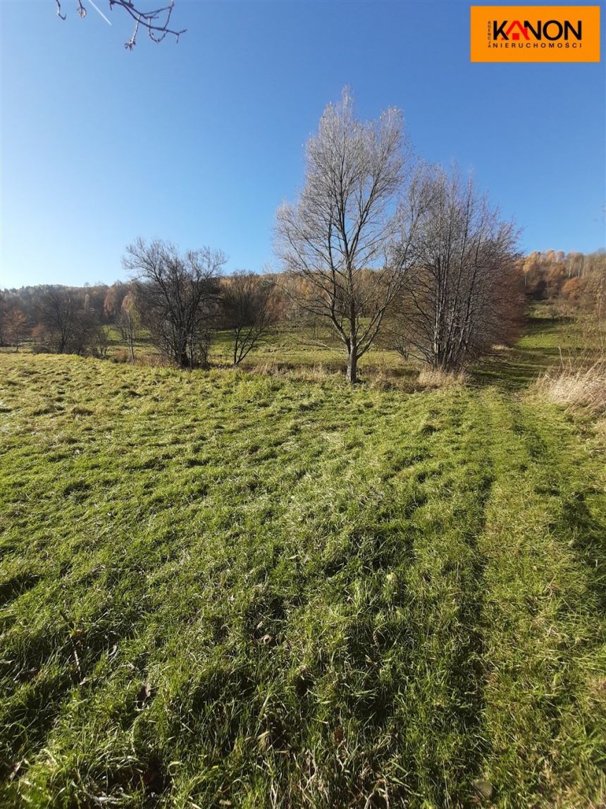 Krzyżowa, 400 000 zł, 20.79 ar, budowlana miniaturka 4