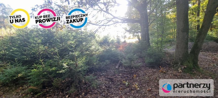 Bieszkowice, 480 000 zł, 2.69 ha, rolna miniaturka 12