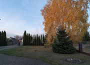 Dom 250m 2,5 km do PKP Grodzisk miniaturka 5