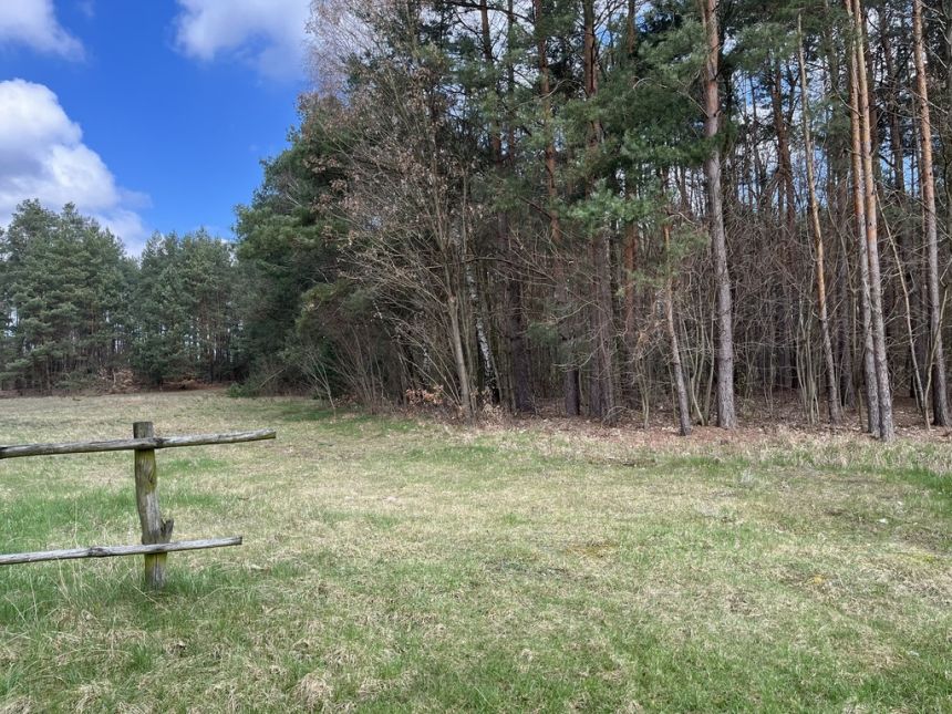 Atrakcyjna działka 2618 m2 w Oblasach-Księżę. miniaturka 6