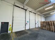 Hale 6300 m2 / 4000 m2/ 2300 m2/ biura/ Toruń miniaturka 10