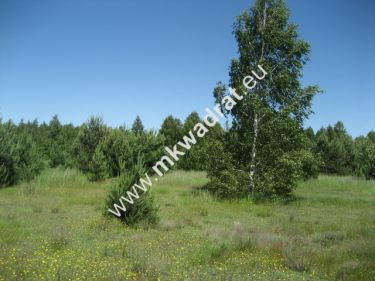 Grzegorzewice, 159 000 zł, 40 ar, płaska