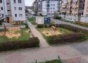 Międzyborska miniaturka 8