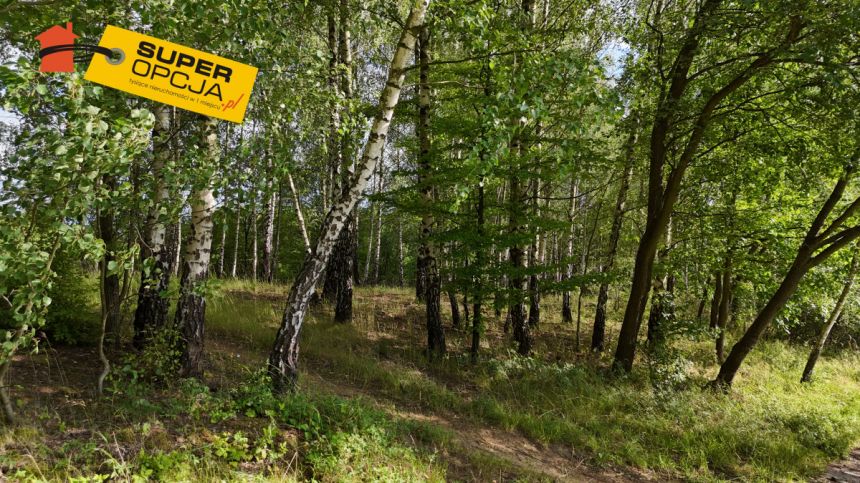 Odrzykoń 215 000 zł 37.56 ar miniaturka 6