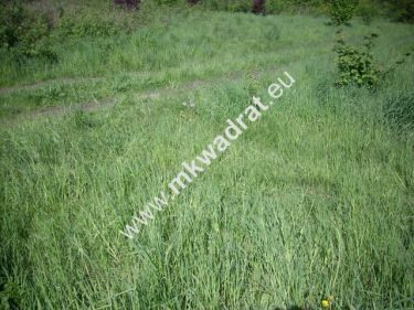 Mariampol, 510 000 zł, 60 ar, budowlana