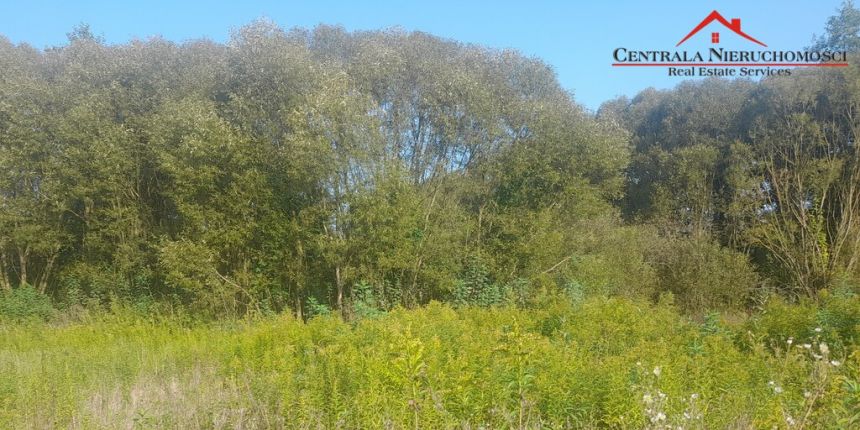 Działka budowlana w Brzeźnie 1200m2 miniaturka 6