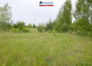 Działki przy ścianie lasu miniaturka 4