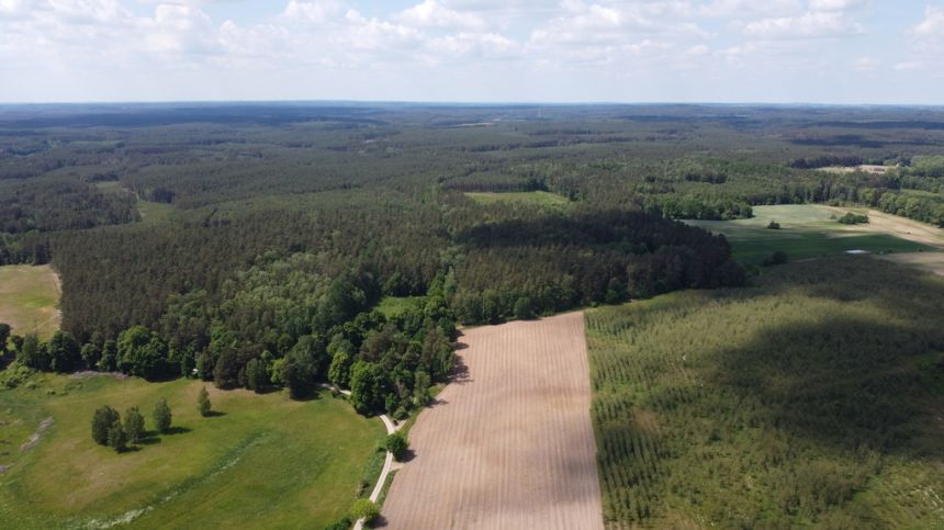 Działka bud.1727m2,obr.Piława,przy J.Łąkie,las. miniaturka 7