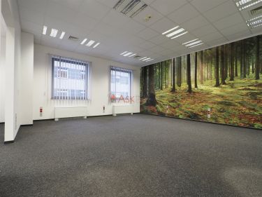 Wrocław Krzyki, 3 960 zł, 66 m2, pietro 2