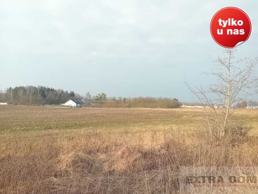 Goleniów, 272 000 zł, 17 ar, droga dojazdowa asfaltowa miniaturka 4