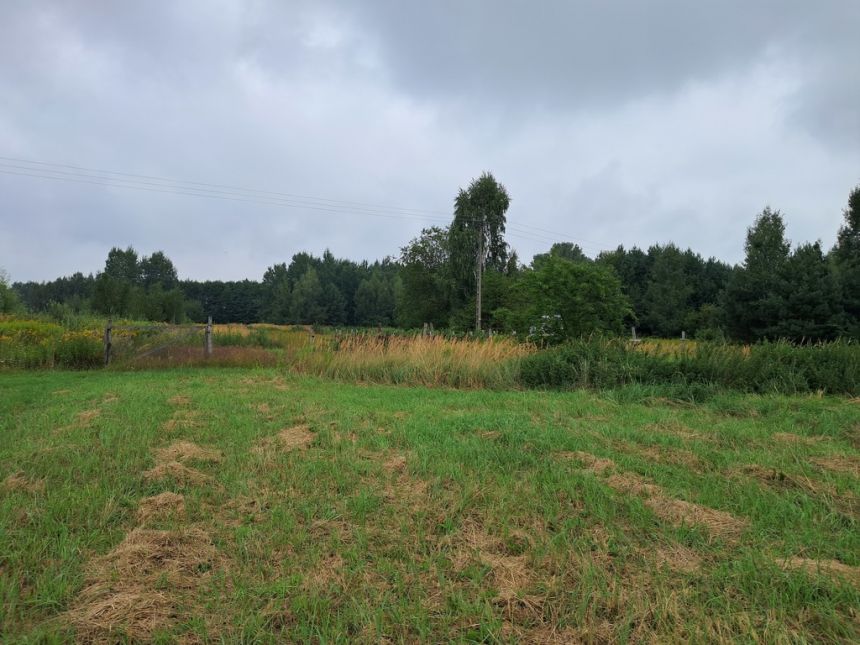 Opole Lubelskie - 1,24 ha - malownicza okolica - zdjęcie 1