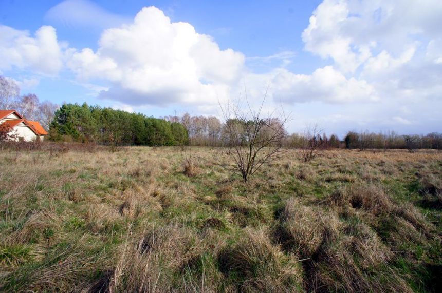 Działka rolno-budowlana o pow. 1073 m 2 miniaturka 4