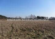 Wólka Łasiecka, 2 100 000 zł, 26.16 ha, rolna miniaturka 2