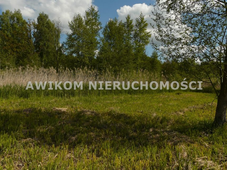 Sewerynów, 110 000 zł, 15 ar, przyłącze elektryczne miniaturka 14
