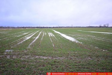 Wierciszów, działka budowlana MN, media.