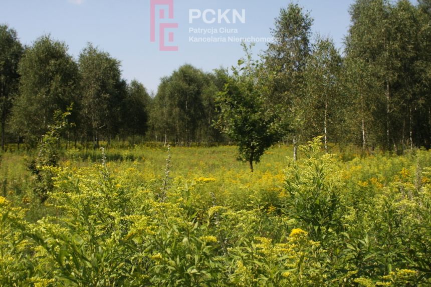 Idealne miejsce dla osób poszukujących spokoju - zdjęcie 1