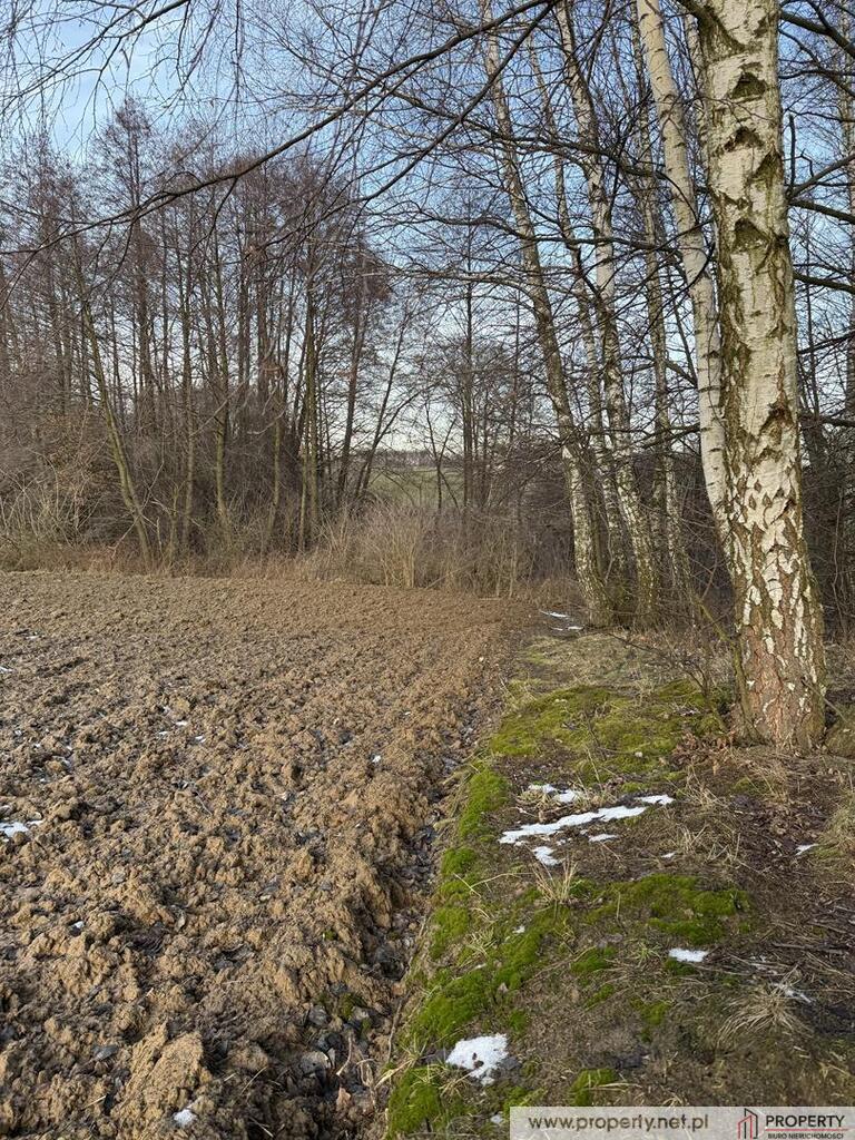 Działki budowlane, Góra Motyczna, gm. Żyraków miniaturka 9