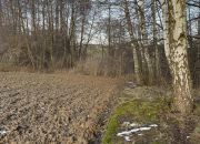 Działki budowlane, Góra Motyczna, gm. Żyraków miniaturka 9