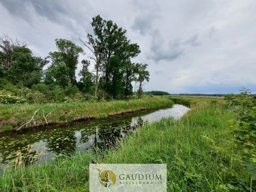 Malownicze działki nad brzegiem rzeki-Zielona Góra