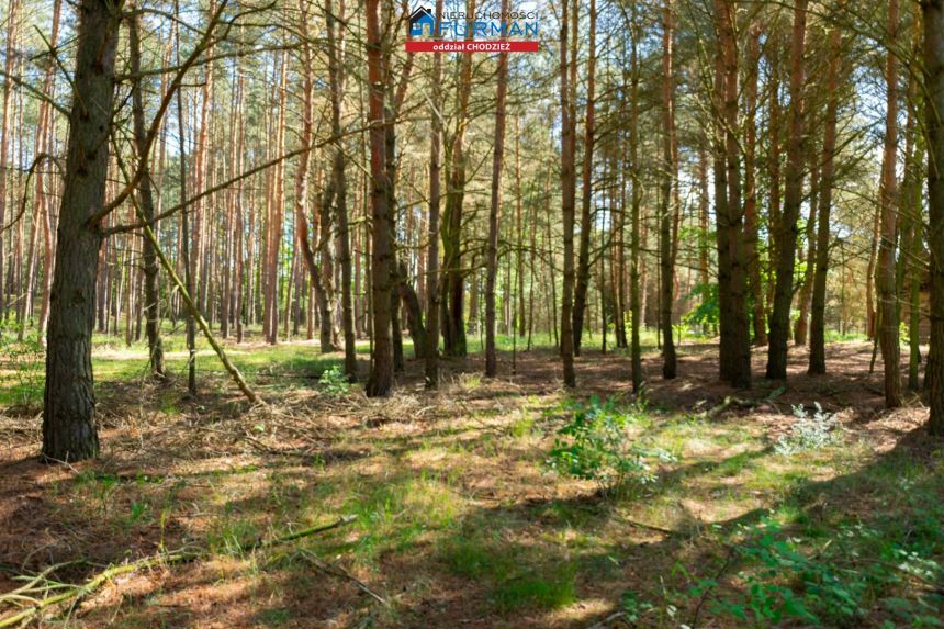 Na sprzedaż działka w Laskowie gm. Szamocin miniaturka 4