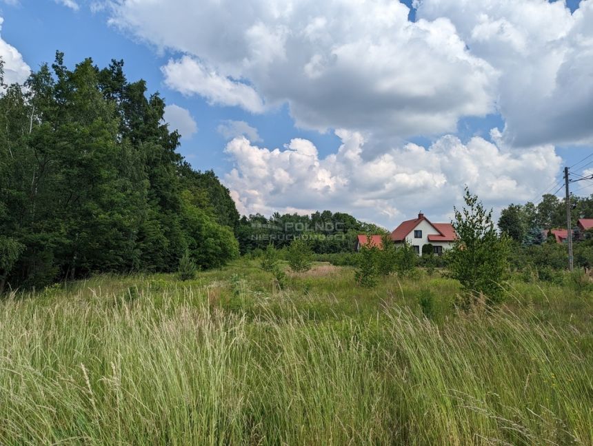 Działka w Dąbrówce, gmina Kazimierz Dolny miniaturka 2