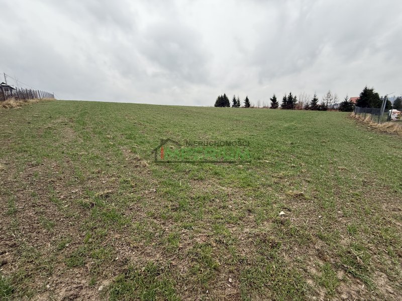 Klimkówka, 385 000 zł, 1.93 ha, prostokątna - zdjęcie 1