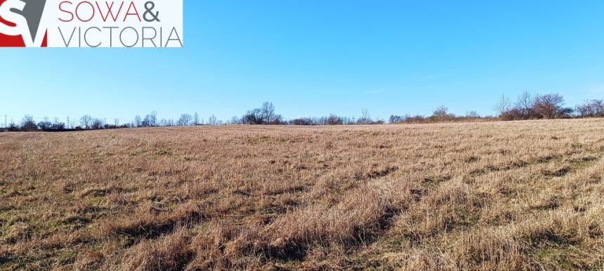 Słoneczna działka budowlana w  Szczawnie Zdroju miniaturka 3