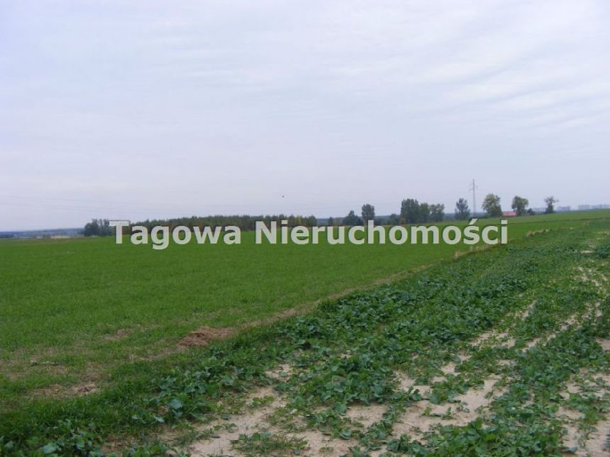 Grębocin, 1 600 000 zł, 3.46 ha, budowlana - zdjęcie 1