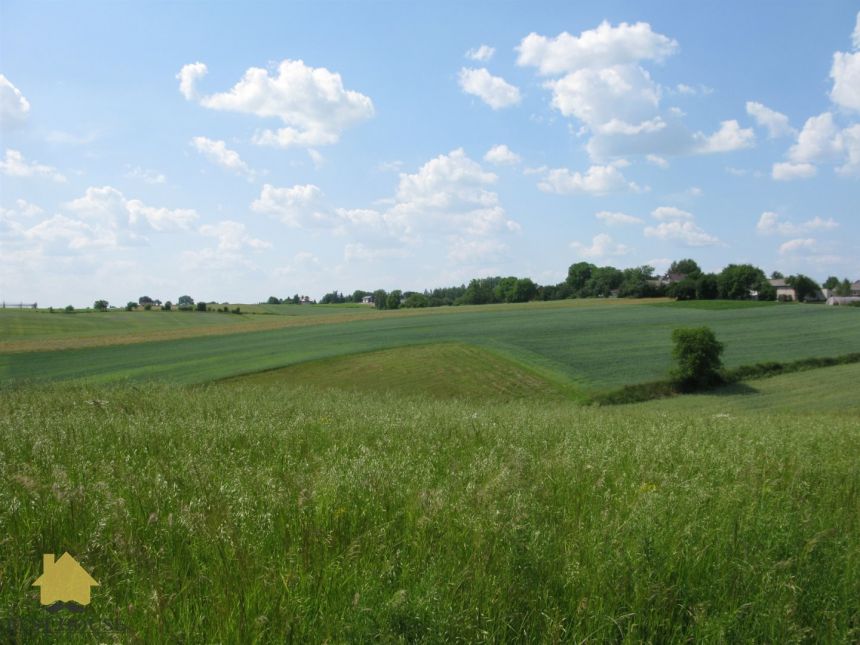 Działka RM 491M2 JASTKÓW miniaturka 3