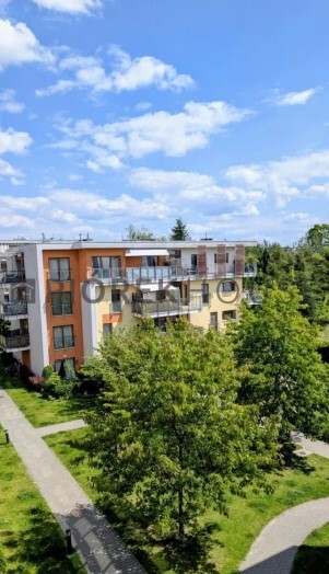 3-pokojowe mieszkanie w Ursusie miniaturka 7
