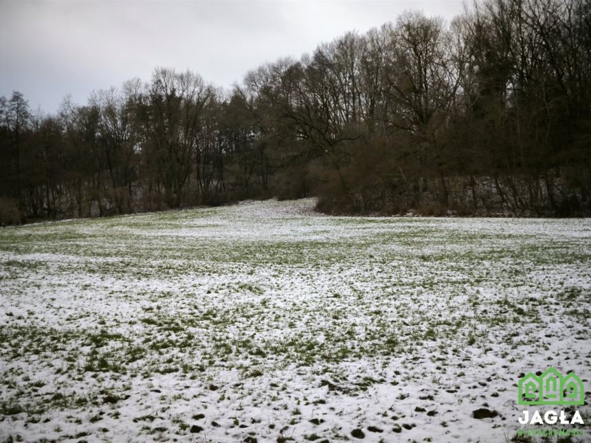 Piękna działka Gruczno 7800m2 miniaturka 2