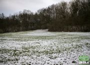 Piękna działka Gruczno 7800m2 miniaturka 2