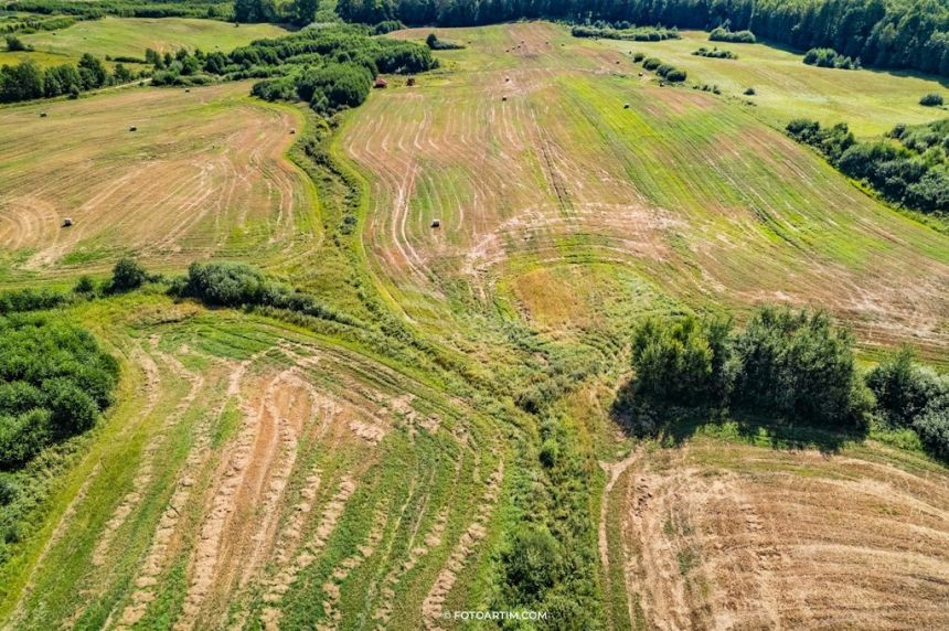 Działka z plażą nad jeziorem Narie miniaturka 13