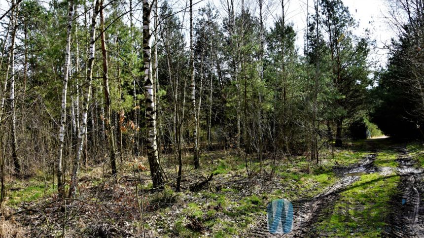 Ludwinów, 93 375 zł, 12.45 ar, droga dojazdowa gruntowa miniaturka 2