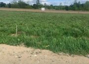 Cząstków Polski, 410 000 zł, 10.14 ar, budowlana miniaturka 5