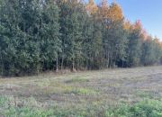 Działka rolna 2ha 20 km od Warszawy blisko S8 miniaturka 4